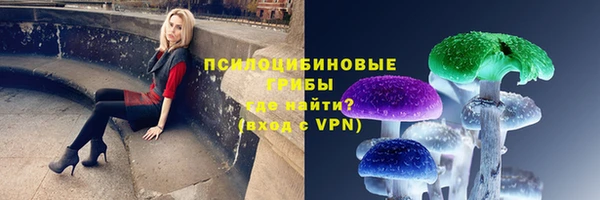 a pvp Гусиноозёрск