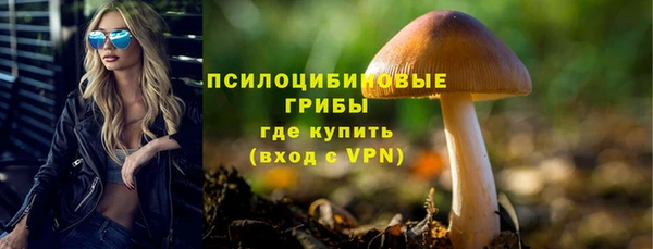 бутират Гусев
