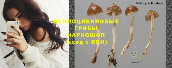 мет Гусь-Хрустальный