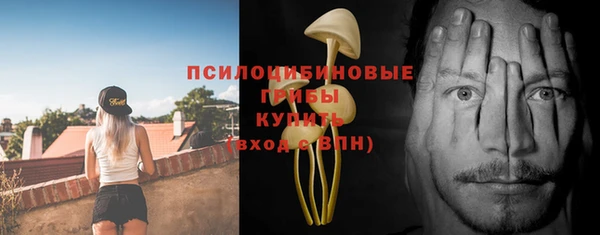 a pvp Гусиноозёрск