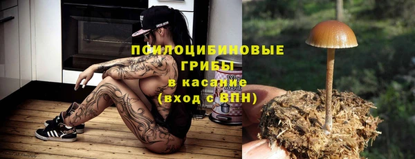 бутират Гусев